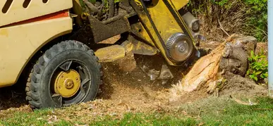 Stump Grinding